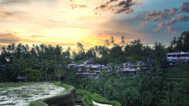 best bali investment area