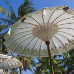 Best Season to Invest in Bali